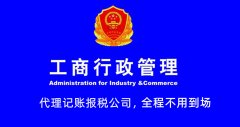 代理记账企业个体户会计咨询官网电话